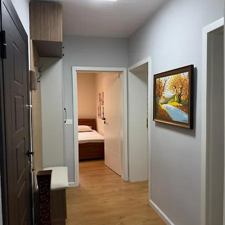 Cozy 2 Bedroom In Myslym Shyri * Tirana