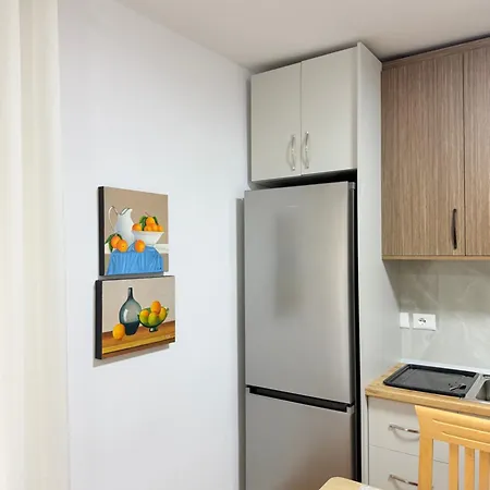 Cozy 2 Bedroom In Myslym Shyri * Tirana